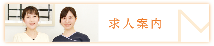求人案内